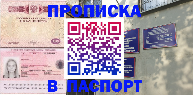 прописка в Шатуре